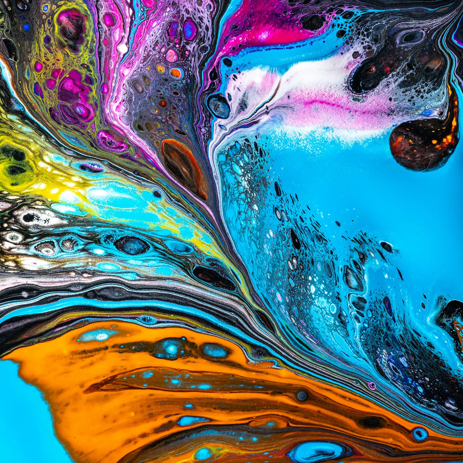 Slider Image